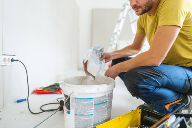 Reliable West Monroe, MI Mold Removal Solutions