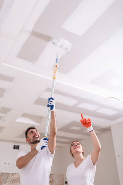 Best Basement Mold Removal  in West Monroe, MI