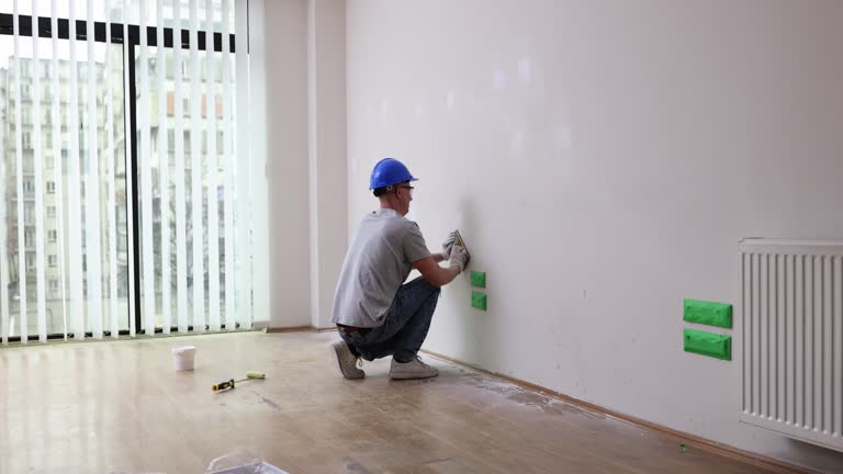 Best Mold Damage Restoration  in West Monroe, MI