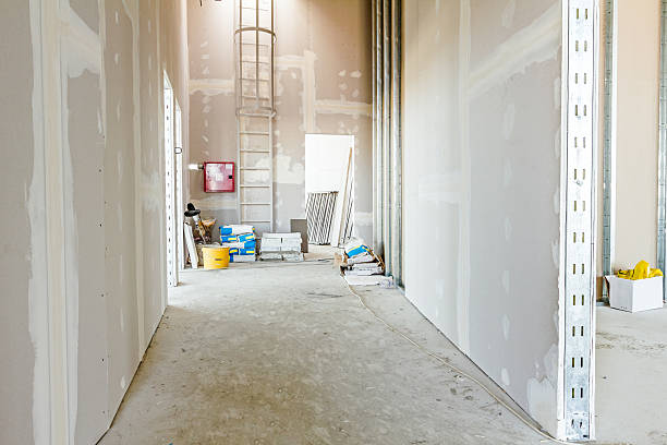 Best Industrial Mold Remediation  in West Monroe, MI