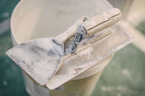 Best Environmental Consulting for Mold Prevention  in West Monroe, MI