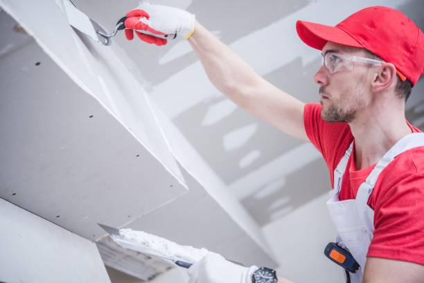 Best HVAC Mold Inspection and Cleaning  in West Monroe, MI